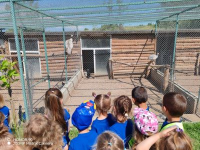  Mалките приключенци от I група „Звънчета“ ???????????? и II група „Звездички“ ✨✨✨  се отправиха на вълнуващо пътешествие до „Зоокът Дъбница“. - ДГ Детелина - Огняново